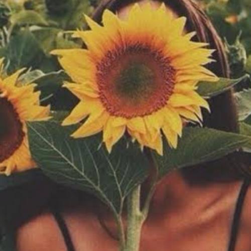 สมาชิกหมายเลข 4439620