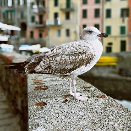 สมาชิกหมายเลข 5589789