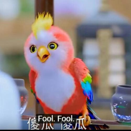 แพนด้าในป่าไผ่