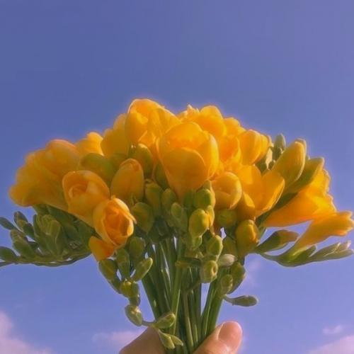 สมาชิกหมายเลข 6152673