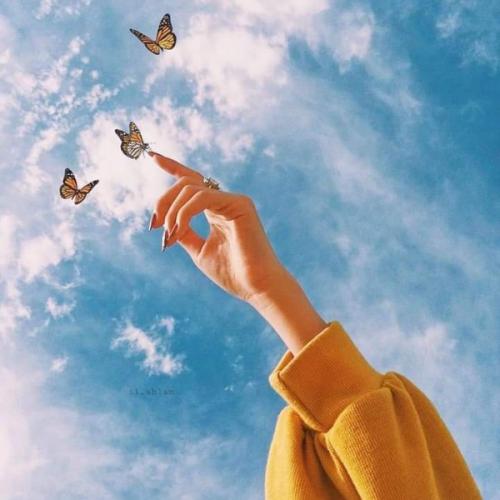 สมาชิกหมายเลข 4135531