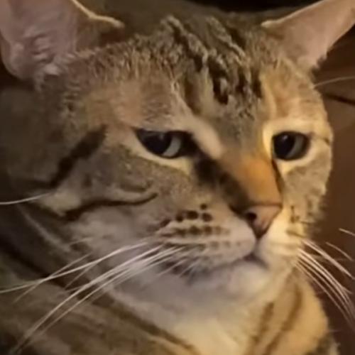 สมาชิกหมายเลข 6780830