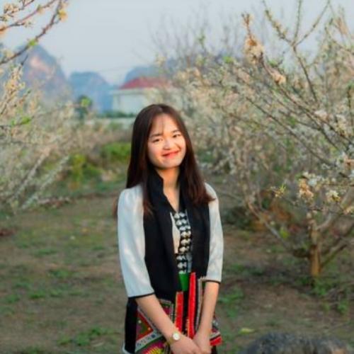 สมาชิกหมายเลข 8467145