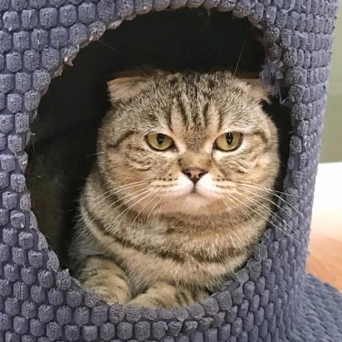 สมาชิกหมายเลข 4003704