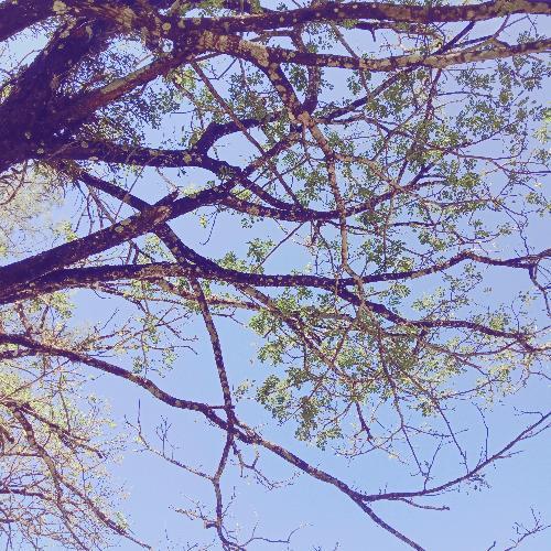 สมาชิกหมายเลข 5182689