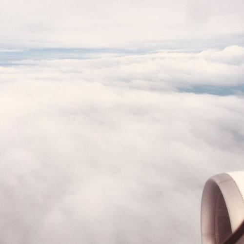 สมาชิกหมายเลข 5182949