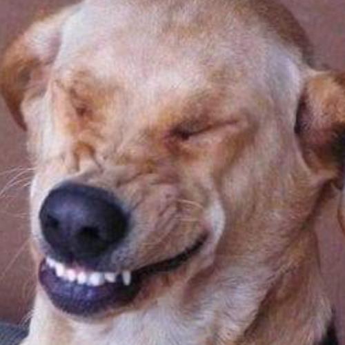 สมาชิกหมายเลข 3710018