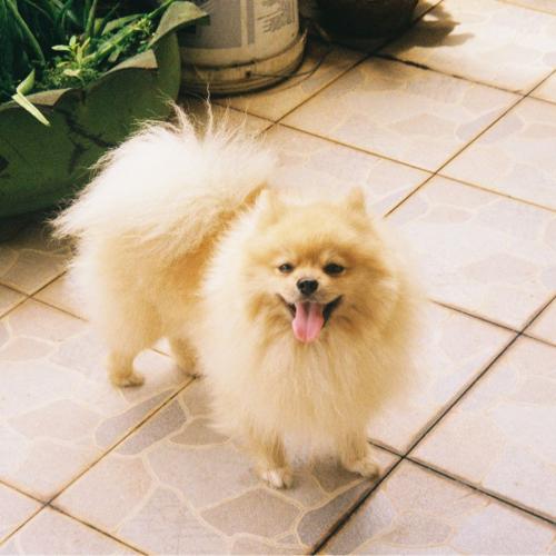 สมาชิกหมายเลข 3909302