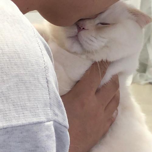 สมาชิกหมายเลข 5555133