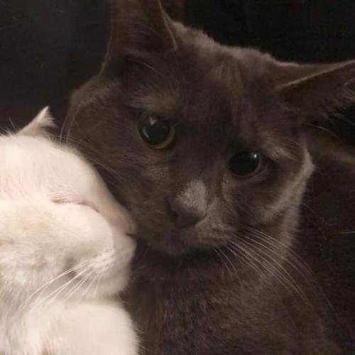 สมาชิกหมายเลข 6153129