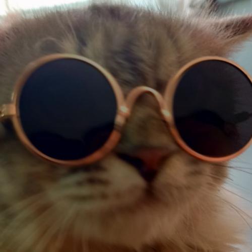 สมาชิกหมายเลข 1381378