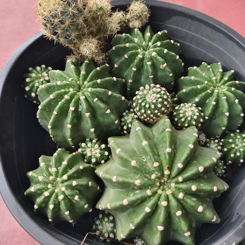 สมาชิกหมายเลข 8400013