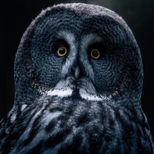 สมาชิกหมายเลข 8467372