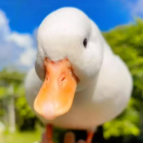 สมาชิกหมายเลข 8467810