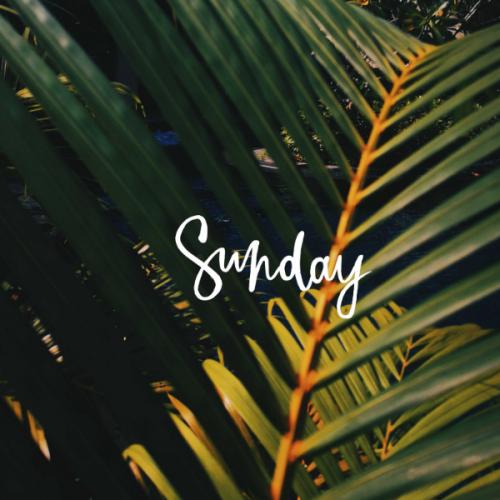 สมาชิกหมายเลข 1957675