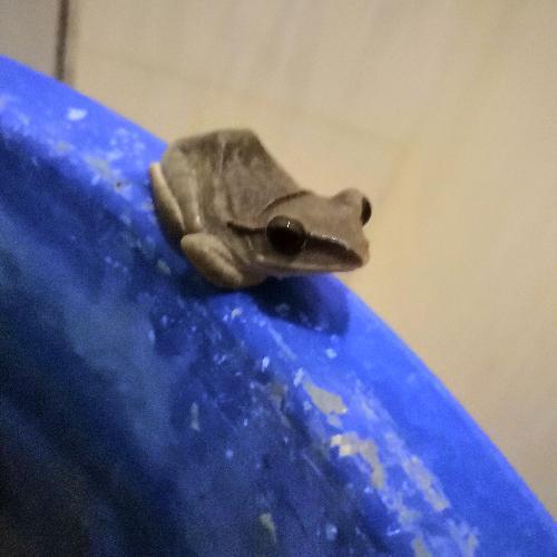 สมาชิกหมายเลข 3740098