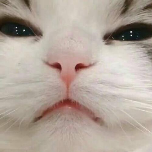 สมาชิกหมายเลข 5068524