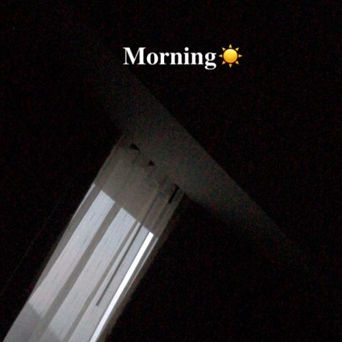 สมาชิกหมายเลข 5590751