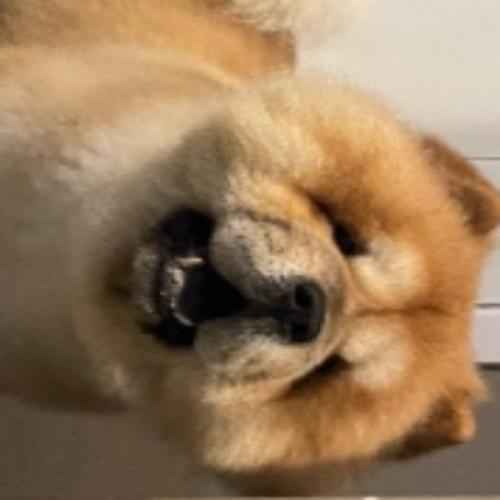 สมาชิกหมายเลข 3199703