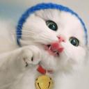 สมาชิกหมายเลข 1984638