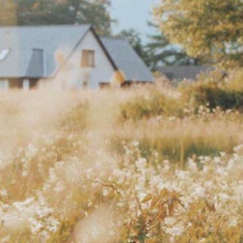 สมาชิกหมายเลข 2250085