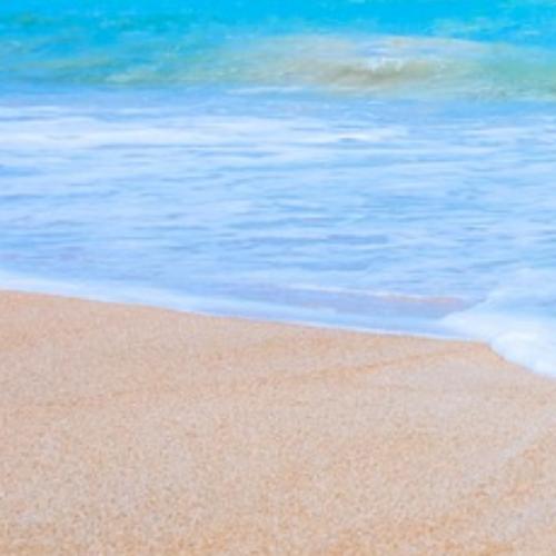 สมาชิกหมายเลข 4486938