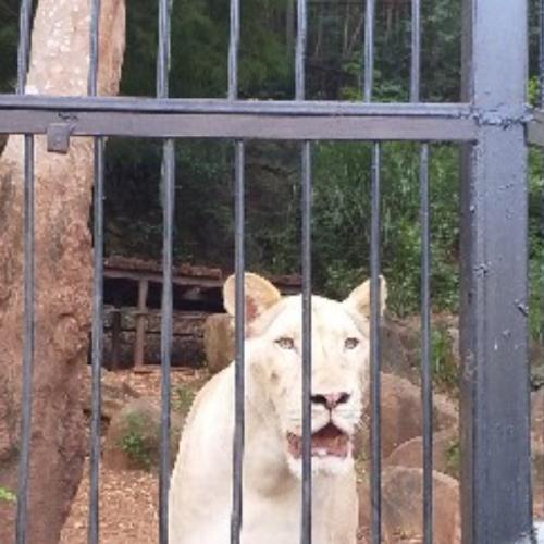 สมาชิกหมายเลข 5591064