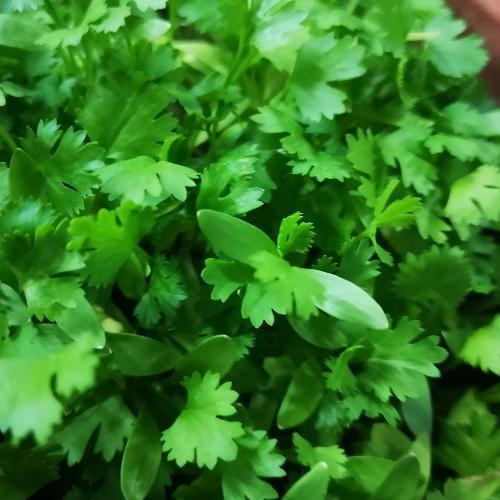 สมาชิกหมายเลข 1886902