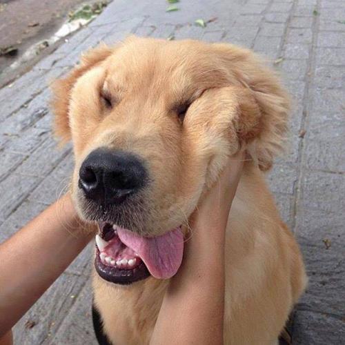 สมาชิกหมายเลข 3996999