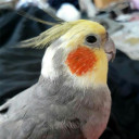 สมาชิกหมายเลข 1798986