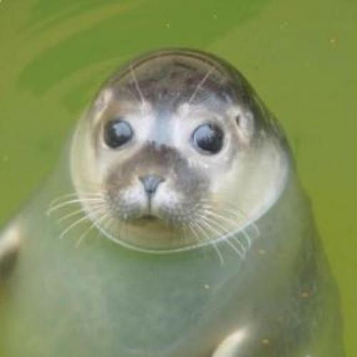 สมาชิกหมายเลข 3664468