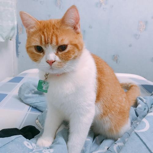 สมาชิกหมายเลข 4465261