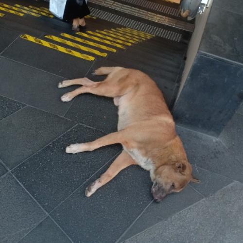 สมาชิกหมายเลข 1533966