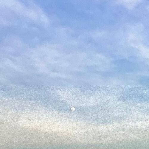 สมาชิกหมายเลข 4316241