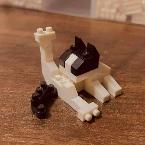 นายฉาบฉวย