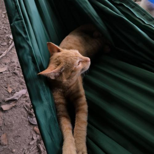 สมาชิกหมายเลข 4067491