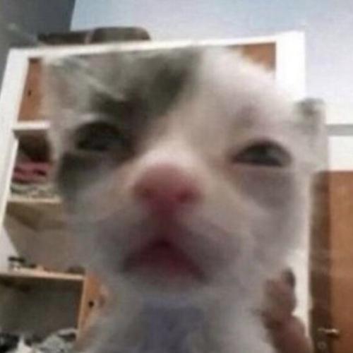 สมาชิกหมายเลข 8352713