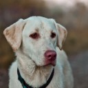 สมาชิกหมายเลข 1258670