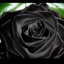 สมาชิกหมายเลข 3997071