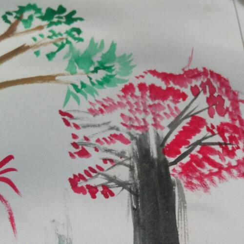 สมาชิกหมายเลข 1914357