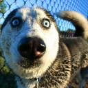 สมาชิกหมายเลข 4465697