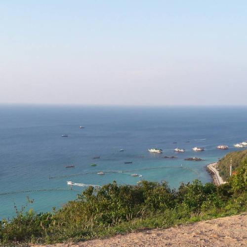 สมาชิกหมายเลข 4763394