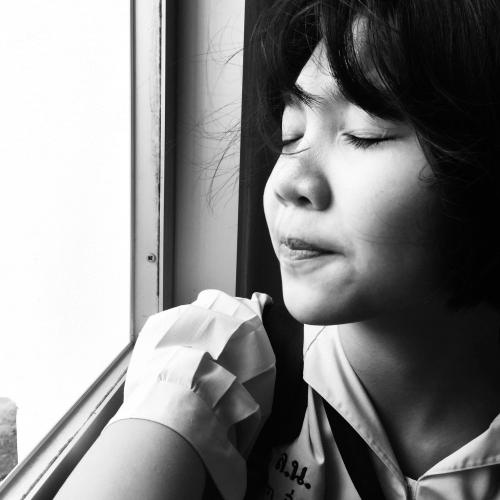 สมาชิกหมายเลข 4801306