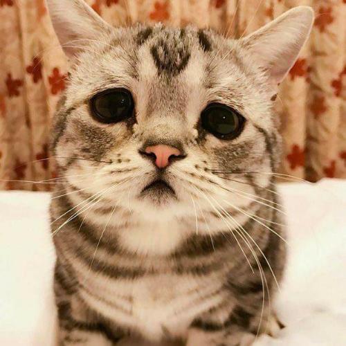 สมาชิกหมายเลข 5074128