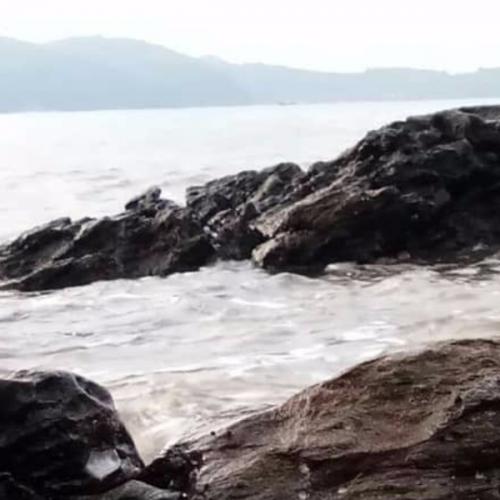 สมาชิกหมายเลข 5592081