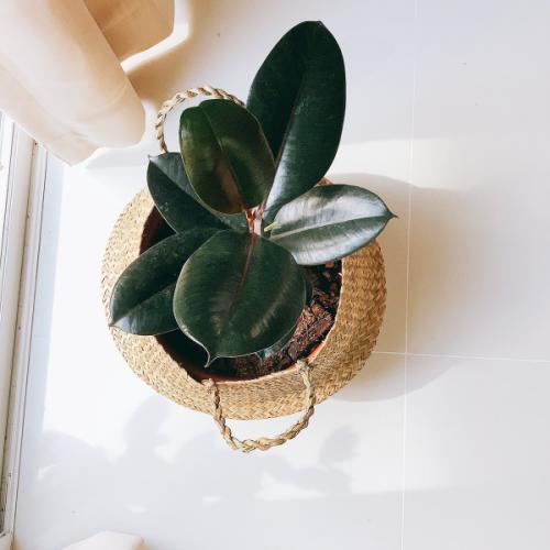 สมาชิกหมายเลข 2824501