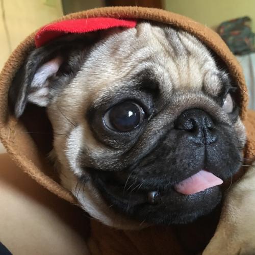 สมาชิกหมายเลข 3147140