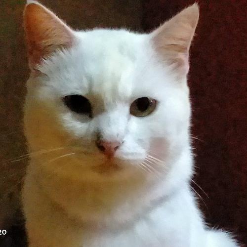 สมาชิกหมายเลข 5842855