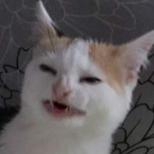 สมาชิกหมายเลข 6155418