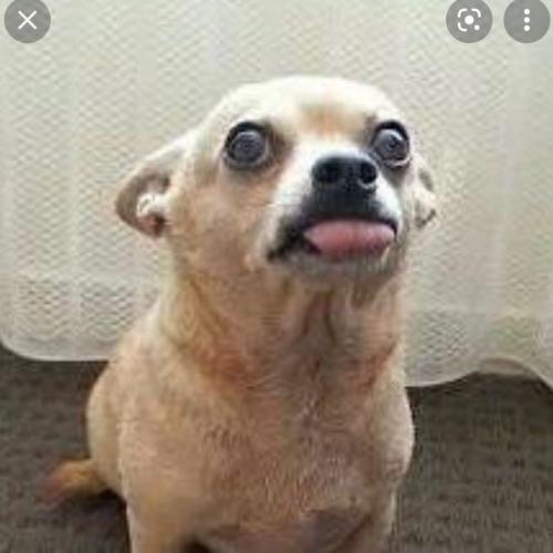 สมาชิกหมายเลข 6704120